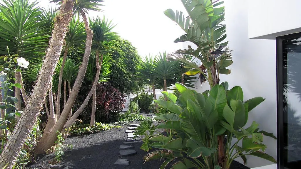 تيغيسي Villa El Erizo